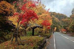 紅葉の折戸渓谷