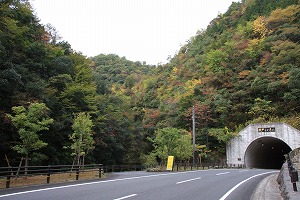 新緑の折戸渓谷