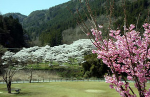 耶馬溪ダムスポーツ公園