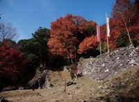 角埋山の角牟礼城跡