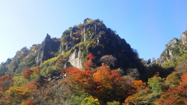 一目八景