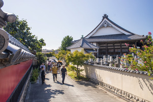 teramachi teramachi