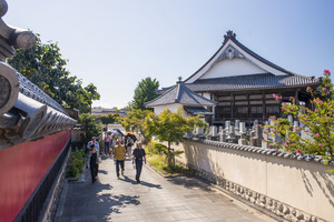 お寺が密集しているので徒歩で観光OK