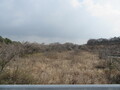 伊藤田用地d