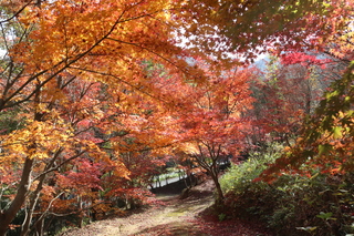 四季の丘公園4