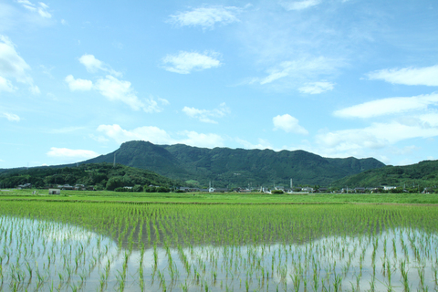 八面山