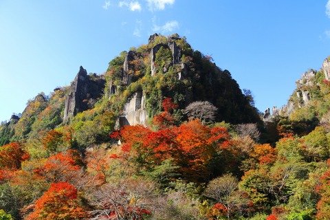 一目八景