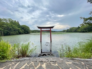 池の中の鳥居