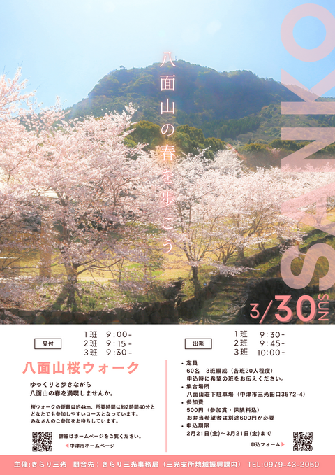 桜ウォークチラシ