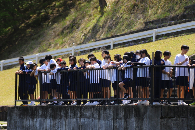 水上スキーデモンストレーション見学の様子<