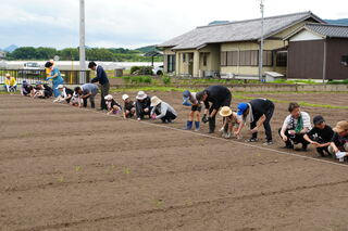 みんなで協力して蒔きます