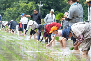 地域の方と協力して植えていきます