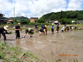 田植えの様子