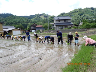 水田に映える作業風景