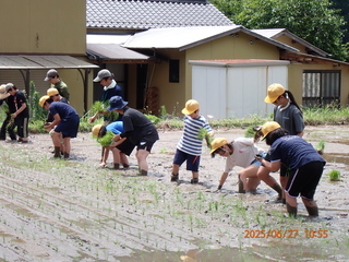 「おっと、危ない！」田んぼに足を取られました