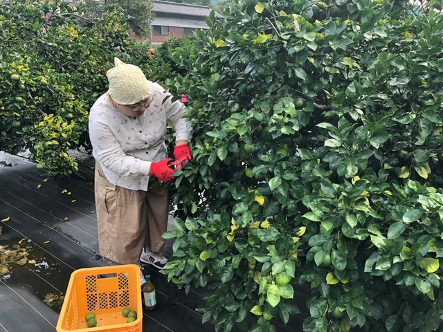 photo_20251004-041230_2