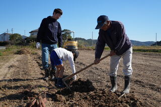 芋ほりのコツを教えてもらいます