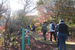 四季の丘公園の様子