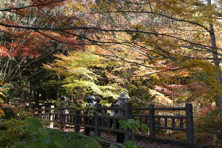 八面山もみじウォークが行われました！ | 大分県中津市