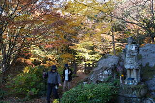 八面山もみじウォークが行われました！ | 大分県中津市