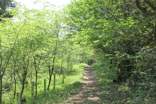 山頂探訪コース