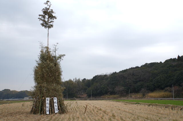 諌山どんど焼き