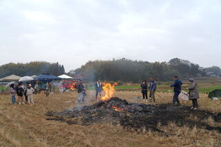 倒れたどんどで餅を焼きます