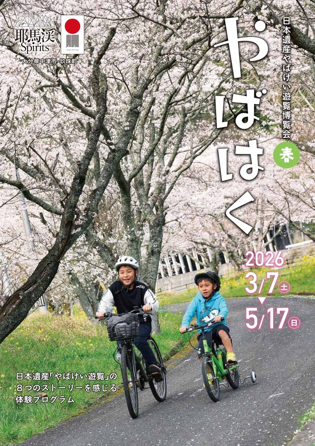 file_20262135131913_1