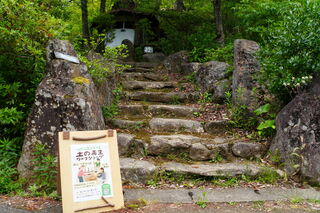 土の再生ワークショップ 土の再生ワークショップ