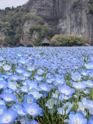 No.7     希望の灯火