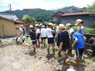 田植えの様子
