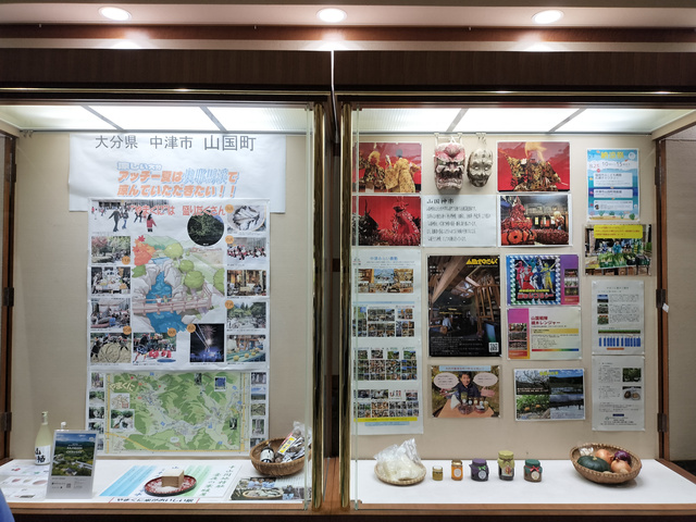 展示の様子 展示の様子