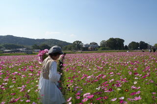 切り花体験 切り花体験