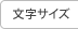 文字サイズ