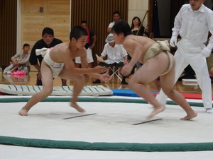 相撲大会の様子