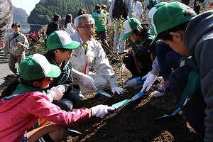 植樹の様子