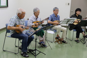演奏の様子