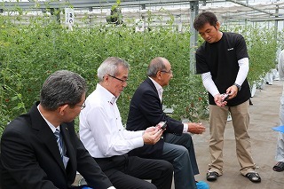 大分和郷でトマトの生産の説明を受ける広瀬知事と奥塚市長