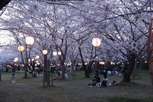 桜まつり会場の様子