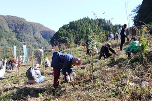 植樹の様子