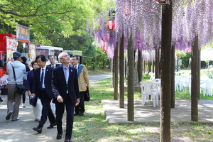 藤棚を眺める奥塚市長