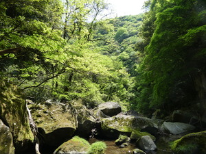 周りの風景