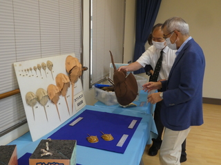 展示の説明を受ける奥塚市長