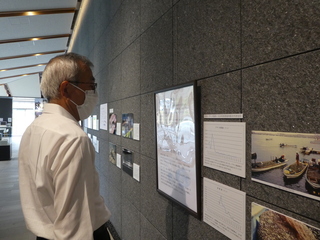 中津の希少生物に関する展示