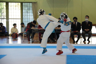 大会会場の様子（組手）