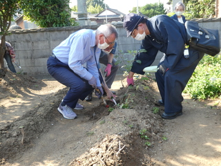苗を植える奥塚市長