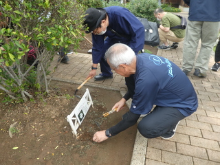 苗を植える奥塚市長