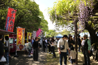 ふじまつりのようす