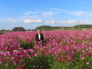 奥塚市長とコスモス園 奥塚市長とコスモス園